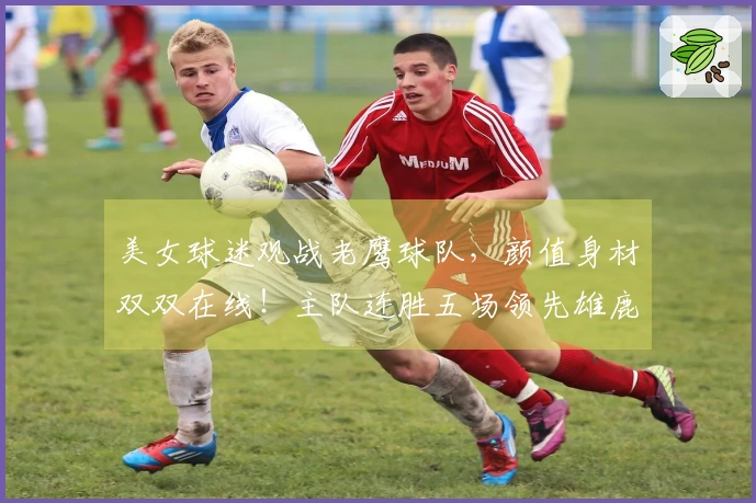 美女球迷观战老鹰球队，颜值身材双双在线！主队连胜五场领先雄鹿五场
