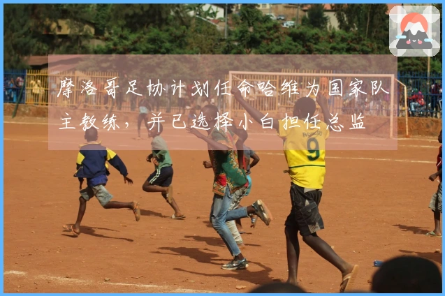 摩洛哥足协计划任命哈维为国家队主教练，并已选择小白担任总监