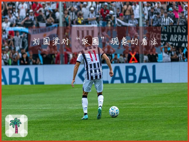 刘国梁对“饭圈”现象的看法