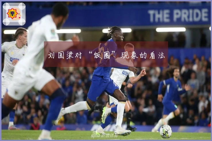 刘国梁对“饭圈”现象的看法